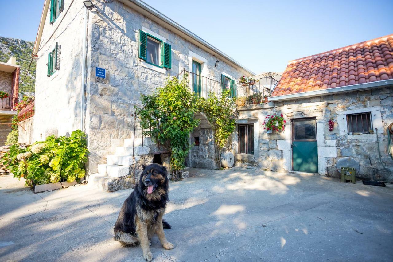 Apartmani Rebac Гата Экстерьер фото